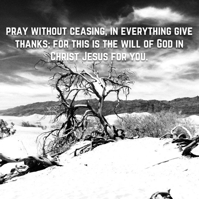 A bare tree on white sand dunes in black and white, with the words of 1 Thessalonians 5:17–18