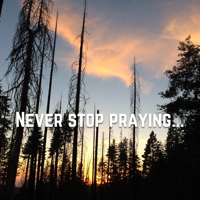 Tall bare trees against a sunset sky, with the words of 1 Thessalonians 5:17