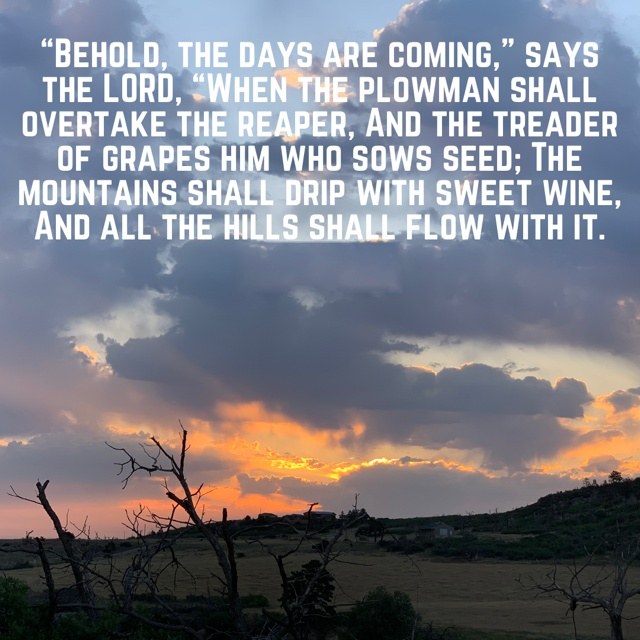 Sunset glowing beneath storm clouds over a field, with the words of Amos 9:13