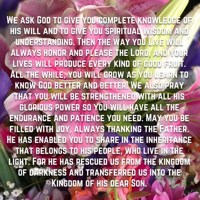 A close-up of pink lilies and flowers, with the words of Colossians 1:9–13