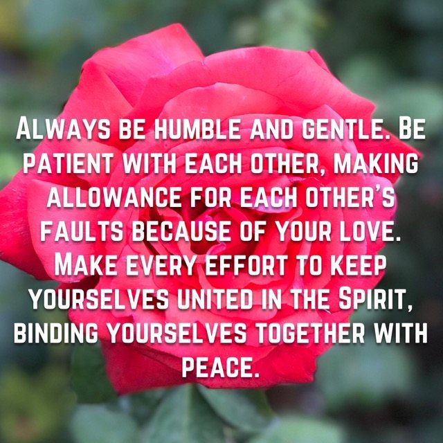 A single red rose, with the words of Ephesians 4:2–3