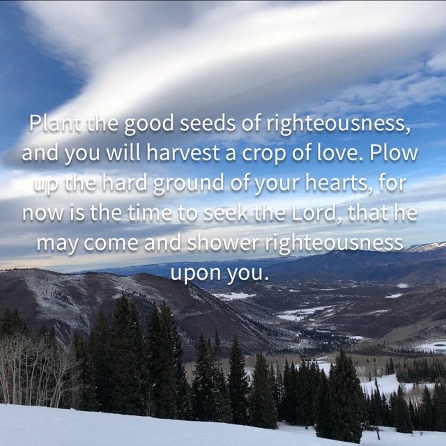 A snowy mountain valley under wispy clouds, with the words of Hosea 10:12