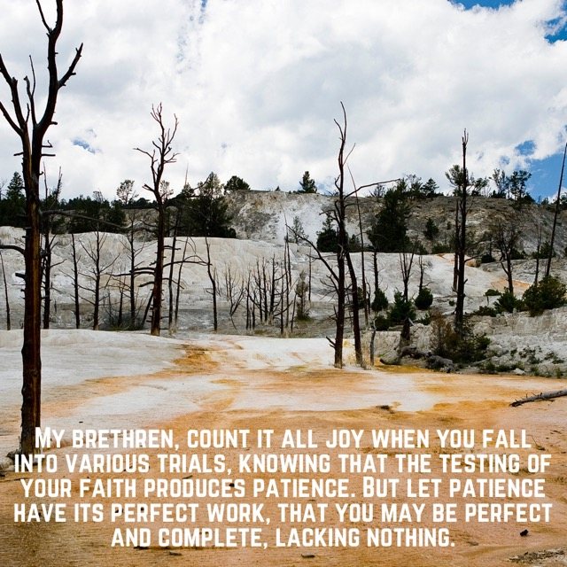 Bare trees on white mineral terraces, with the words of James 1:2–4