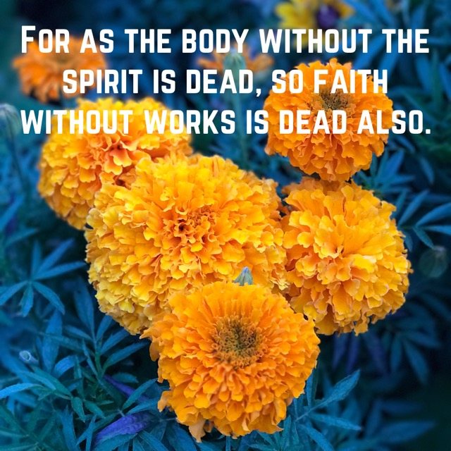 Bright orange marigolds, with the words of James 2:26