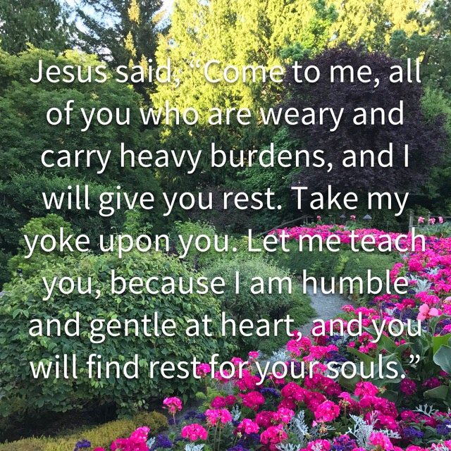 A garden path lined with pink flowers, with the words of Matthew 11:28–29