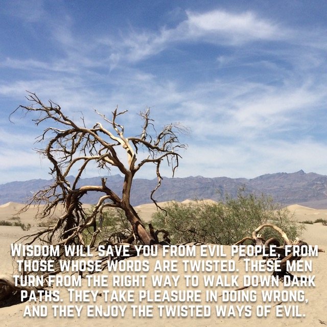 A bare twisted tree on desert sand dunes, with the words of Proverbs 2:12–14