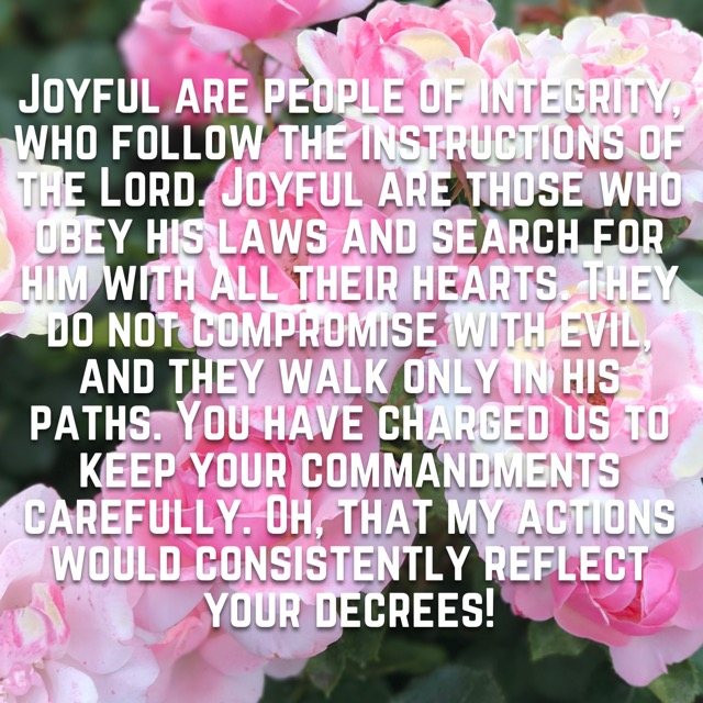 Pink roses in bloom, with the words of Psalm 119:1–5