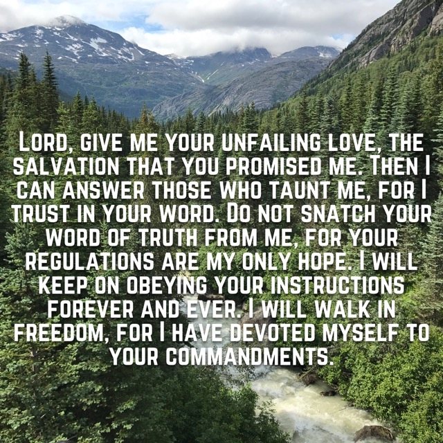 A river valley through pine-covered mountains, with the words of Psalm 119:41–45