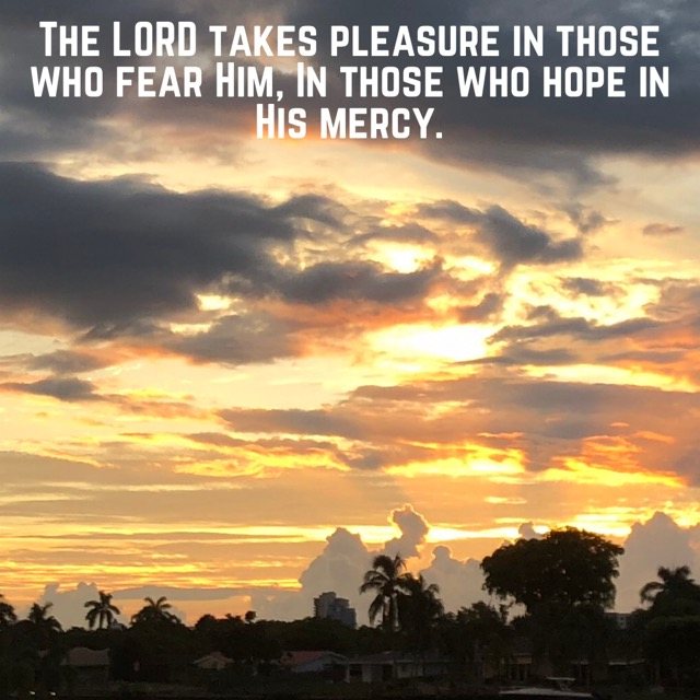 Golden sunset over a waterfront with palms, with the words of Psalm 147:11