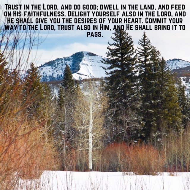 Aspen and pines below a snowy peak, with the words of Psalm 37:3–5