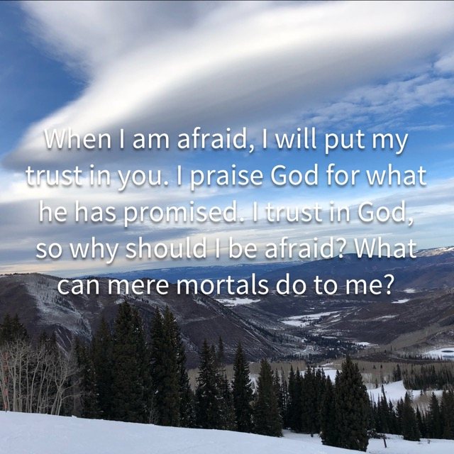 Snowy forest valley under sweeping clouds, with the words of Psalm 56:3–4