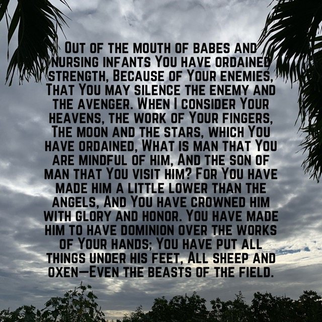 Grey sky framed by palm fronds, with the words of Psalm 8:2–7