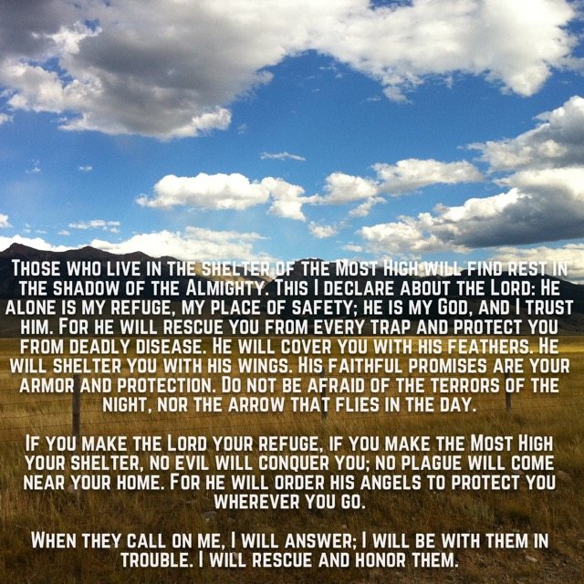 Golden grassland under a blue sky with clouds, with the words of Psalm 91