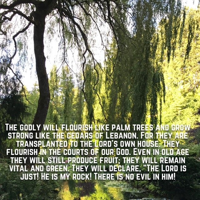 A willow tree over a garden pond, with the words of Psalm 92:12–15