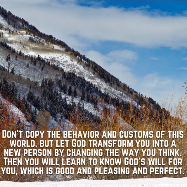 A snowy mountainside of aspen and pine, with the words of Romans 12:2