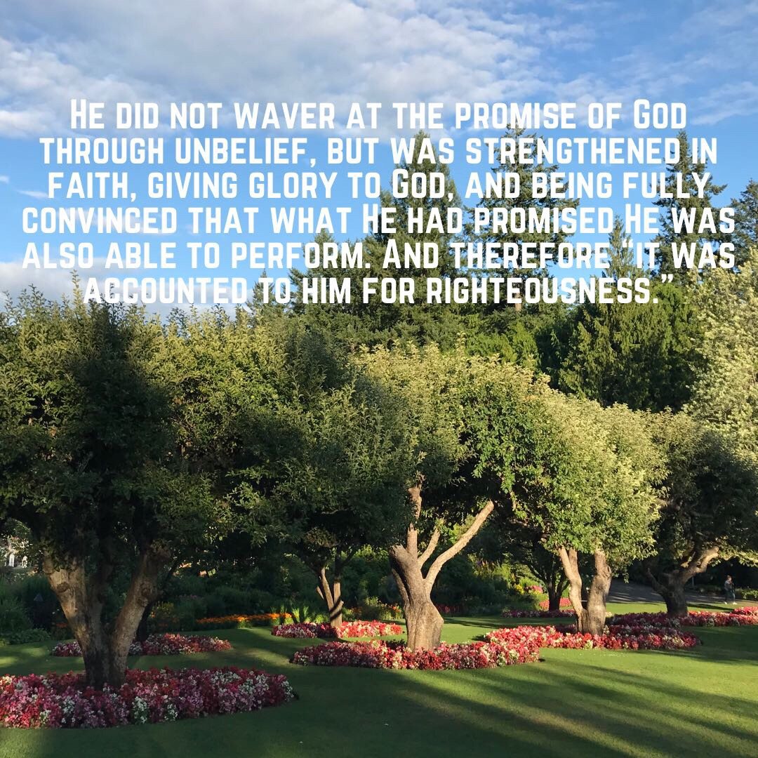 Garden trees above beds of red flowers, with the words of Romans 4:20–22