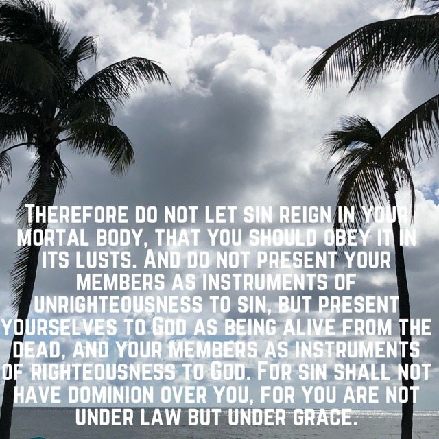 Palm trees against clouds over the sea, with the words of Romans 6:12–14