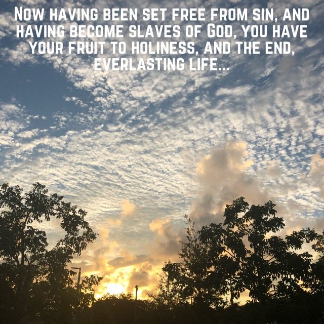 A dappled sky over trees at sunset, with the words of Romans 6:22