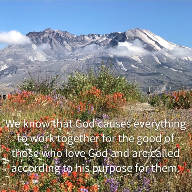 Wildflowers below a snowy volcano, with the words of Romans 8:28