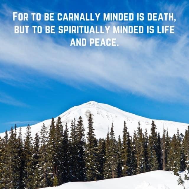 Snow-covered mountain and evergreens under a blue sky, with the words of Romans 8:6